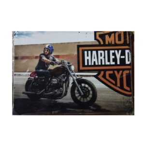 QUADRO DECOR METAL MOTOS NOVA ALIANÇA