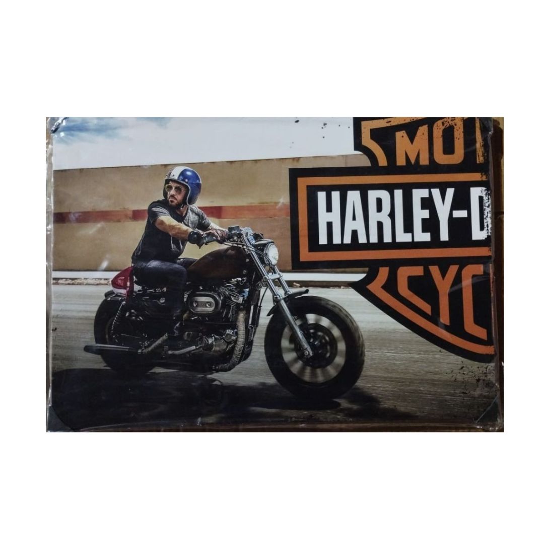 QUADRO DECOR METAL MOTOS NOVA ALIANÇA