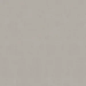 PORCELANATO CEUSA 80X80 RETIFICADO WIND HARD CX 1.92M²